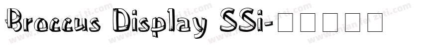 Broccus Display SSi字体转换